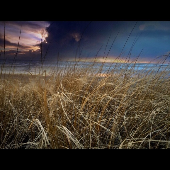 Meet your Posher, Judy - Picture 2 of 4